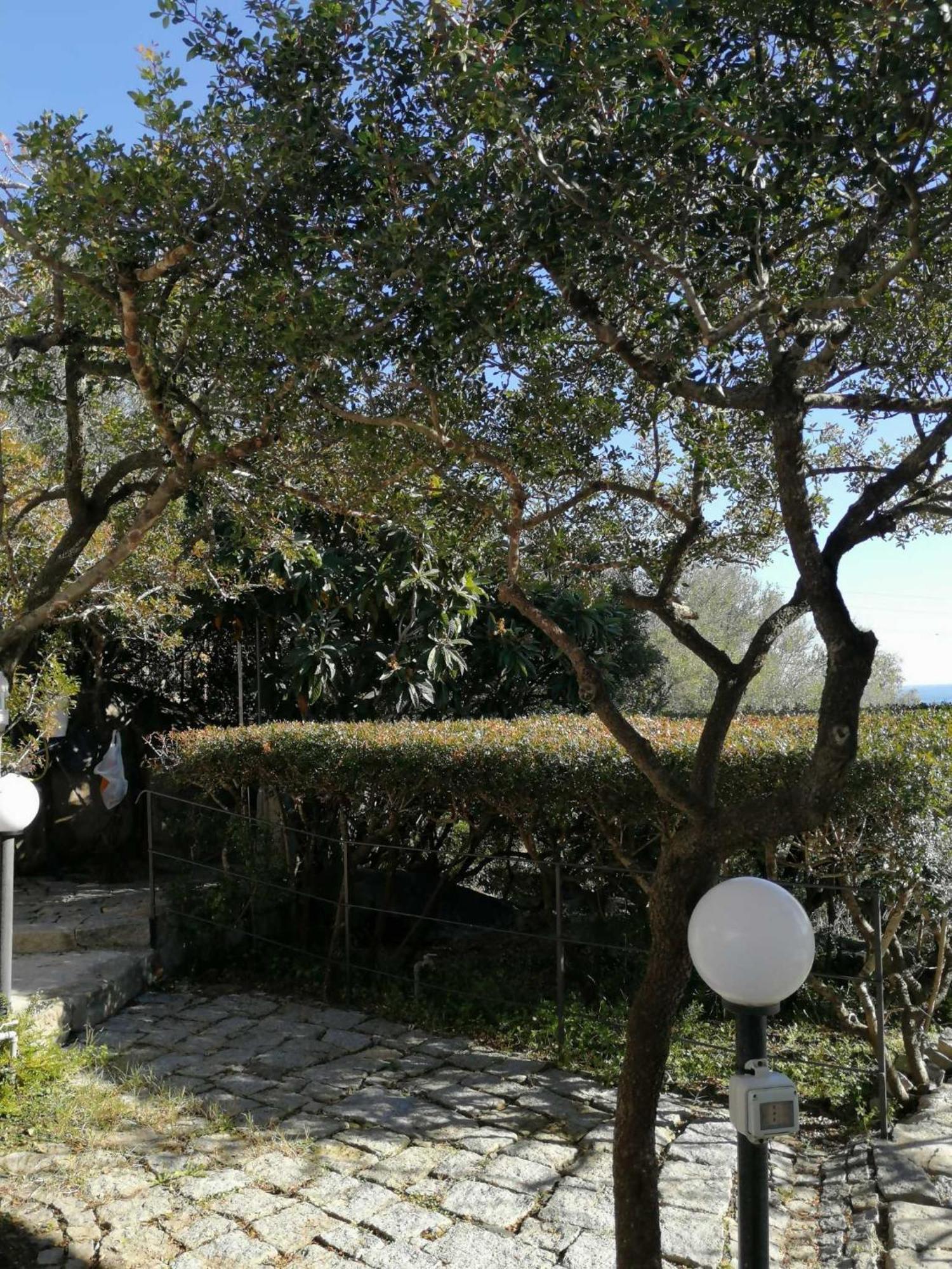 Villa Sa Domu De Orri Al Mare Tortolì Exterior foto